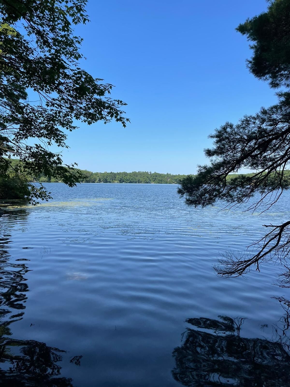 Property Photo:  East Shore Road  NH 03444 