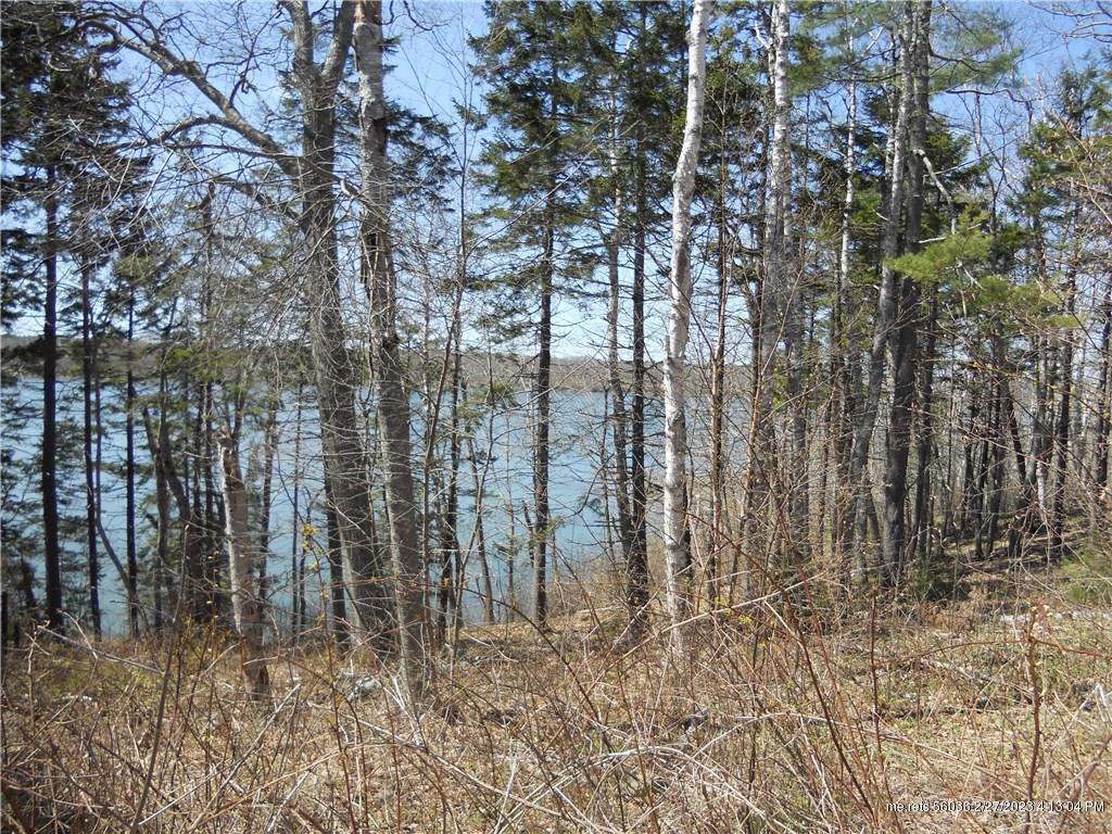 Property Photo:  0 Thornbush Lane  ME 04860 