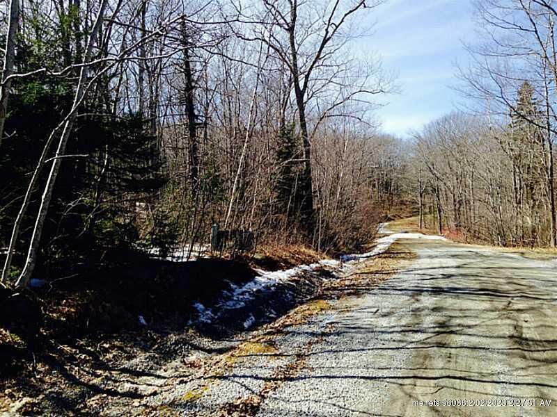 Property Photo:  51 Dodge Mountain Road  ME 04841 