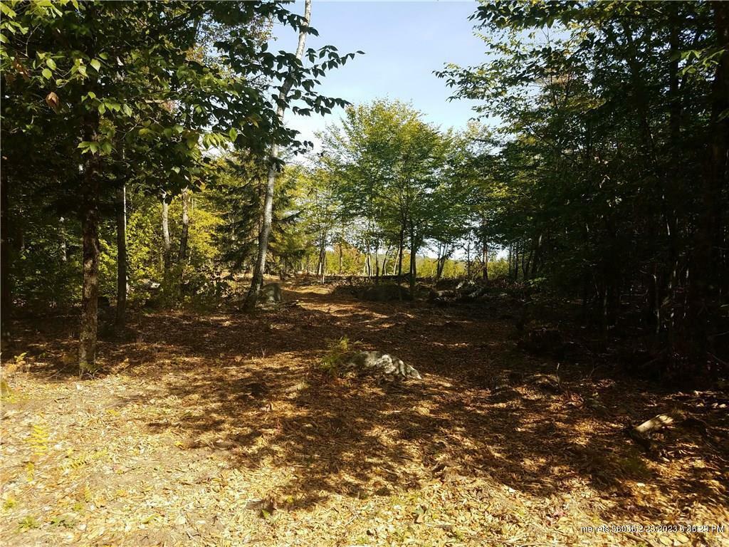 Property Photo:  2027 Mann Hill Road  ME 04429 