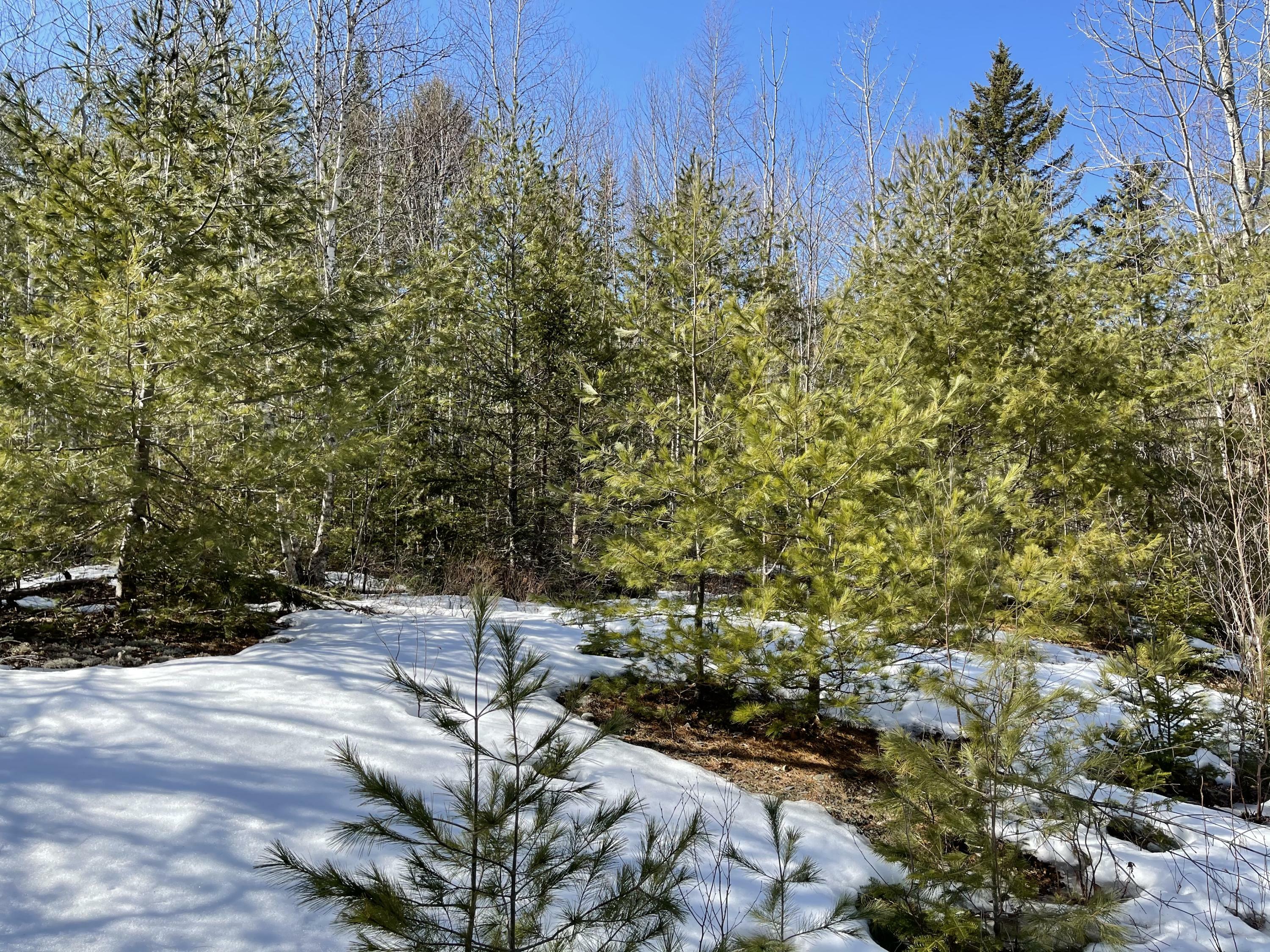 Property Photo:  Lots 63&64 Kettle Ridge Road/Glacier Lane  ME 04654 