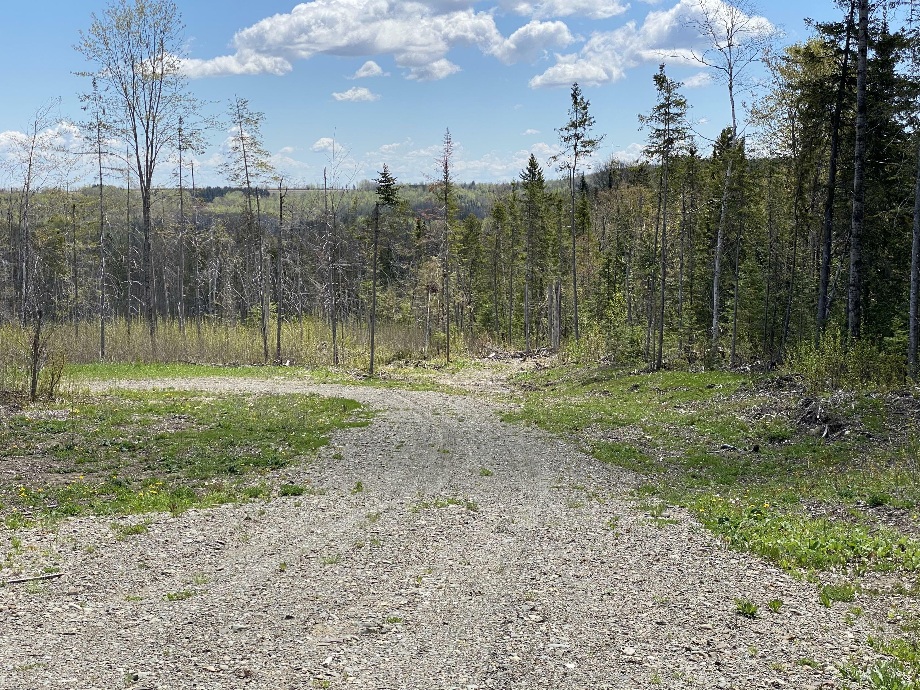 Property Photo:  Map2 Lot21 Marquis Road  ME 04785 