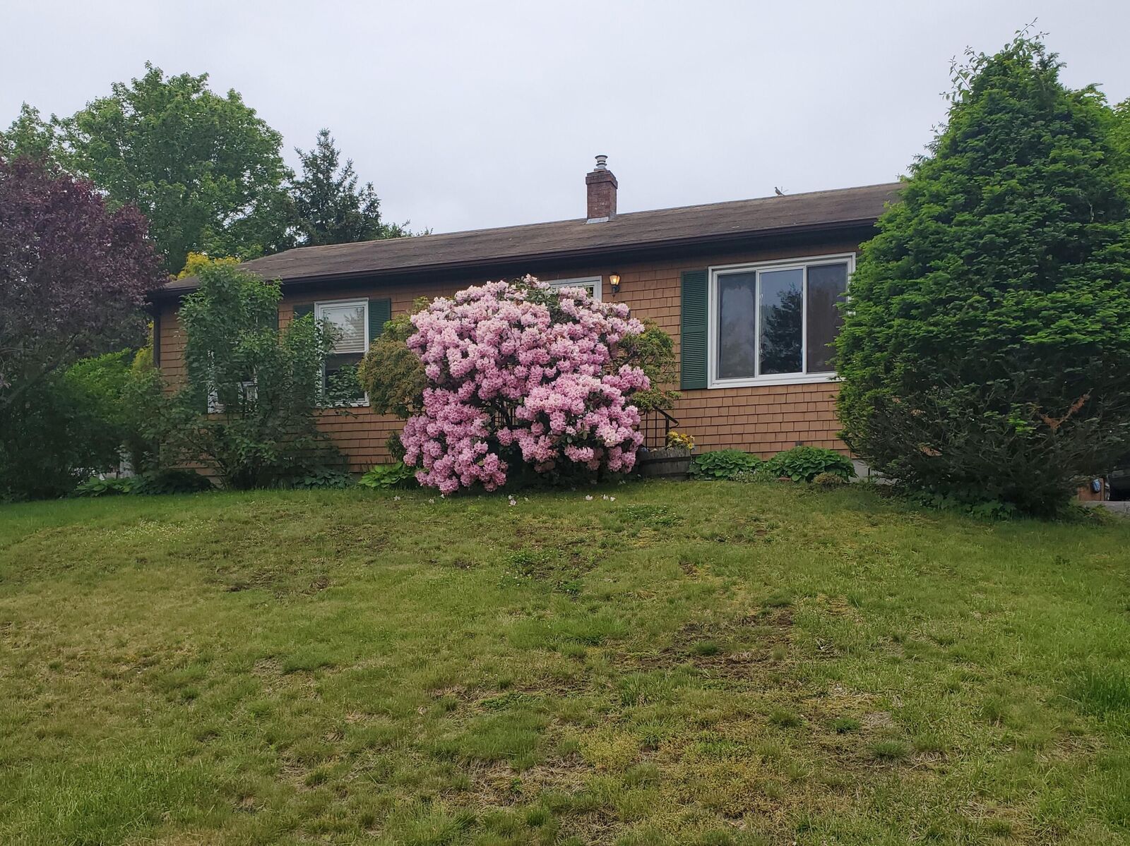 Property Photo:  23 Tamarack Drive  ME 03908 
