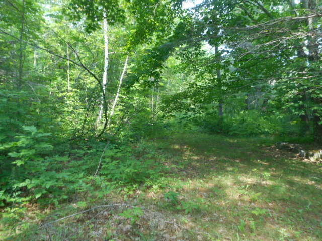 Property Photo:  Map 6lot 2 Lagrange Road  ME 04493 