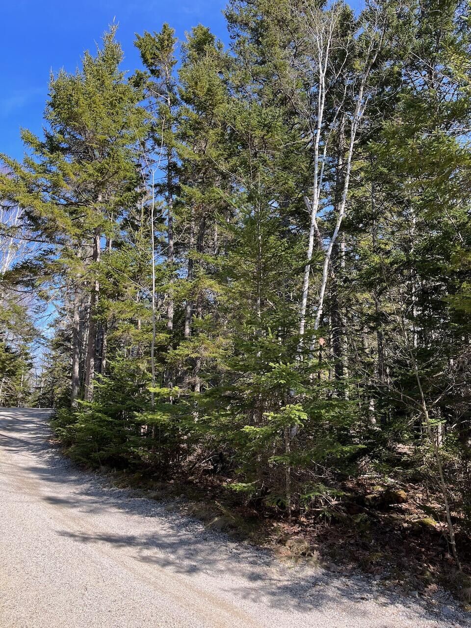 Property Photo: 0 Journey'S End Lane ME 04684