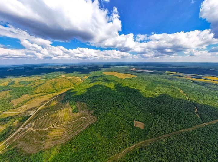 Property Photo:  16226 SR 50  TN 37301 