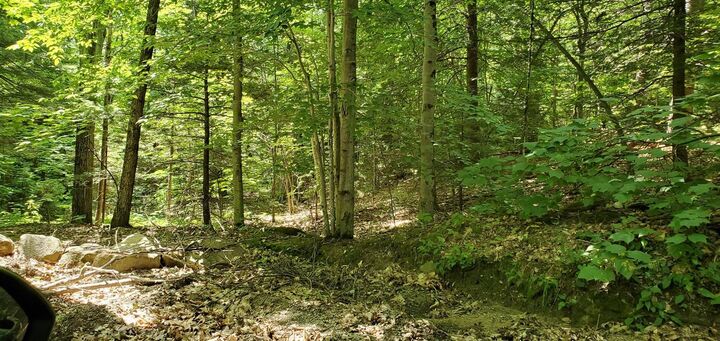 Property Photo: Snow Hill Road NH 03444