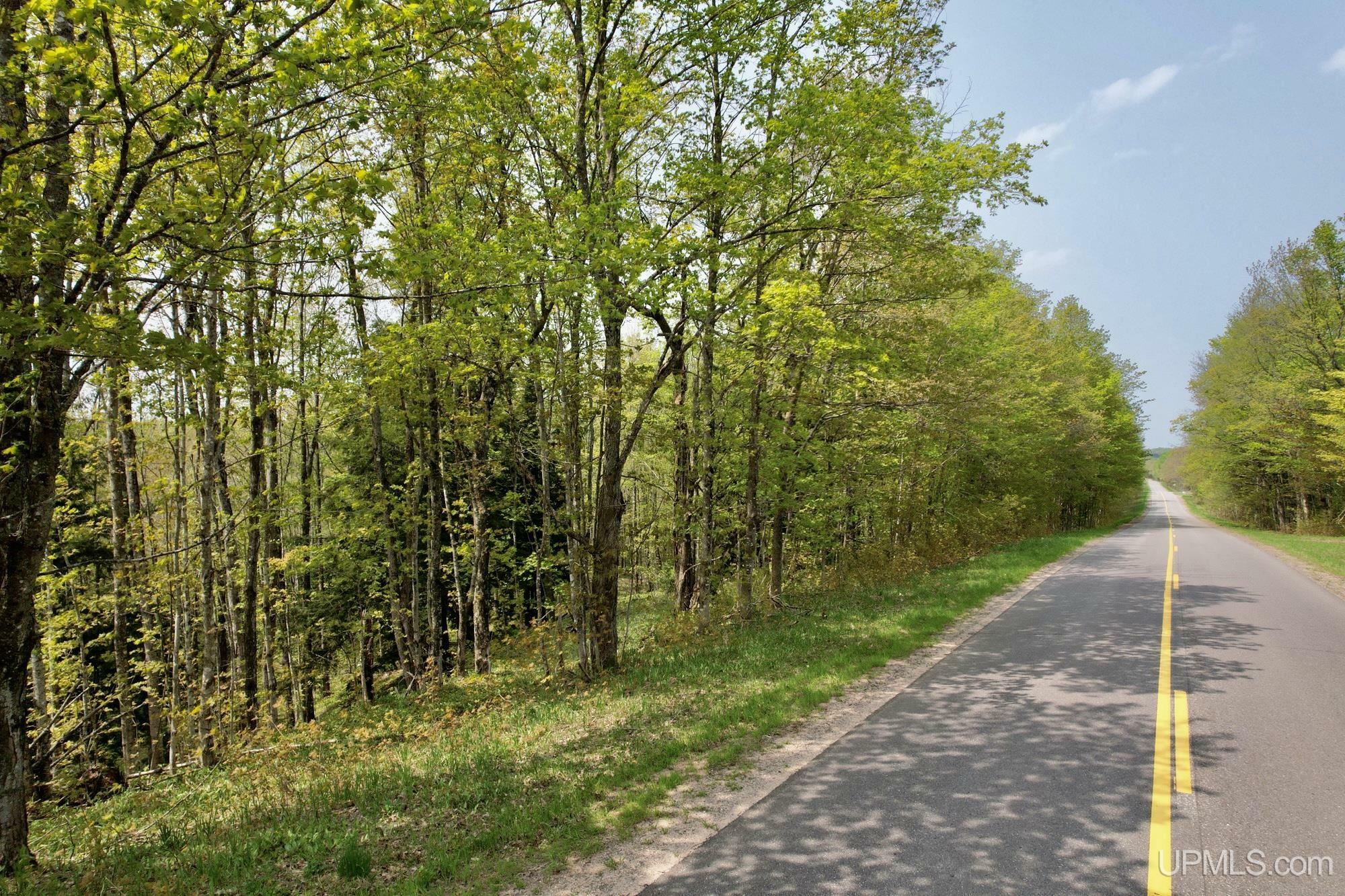 Tbd Co Rd 545  Skandia MI 49885 photo