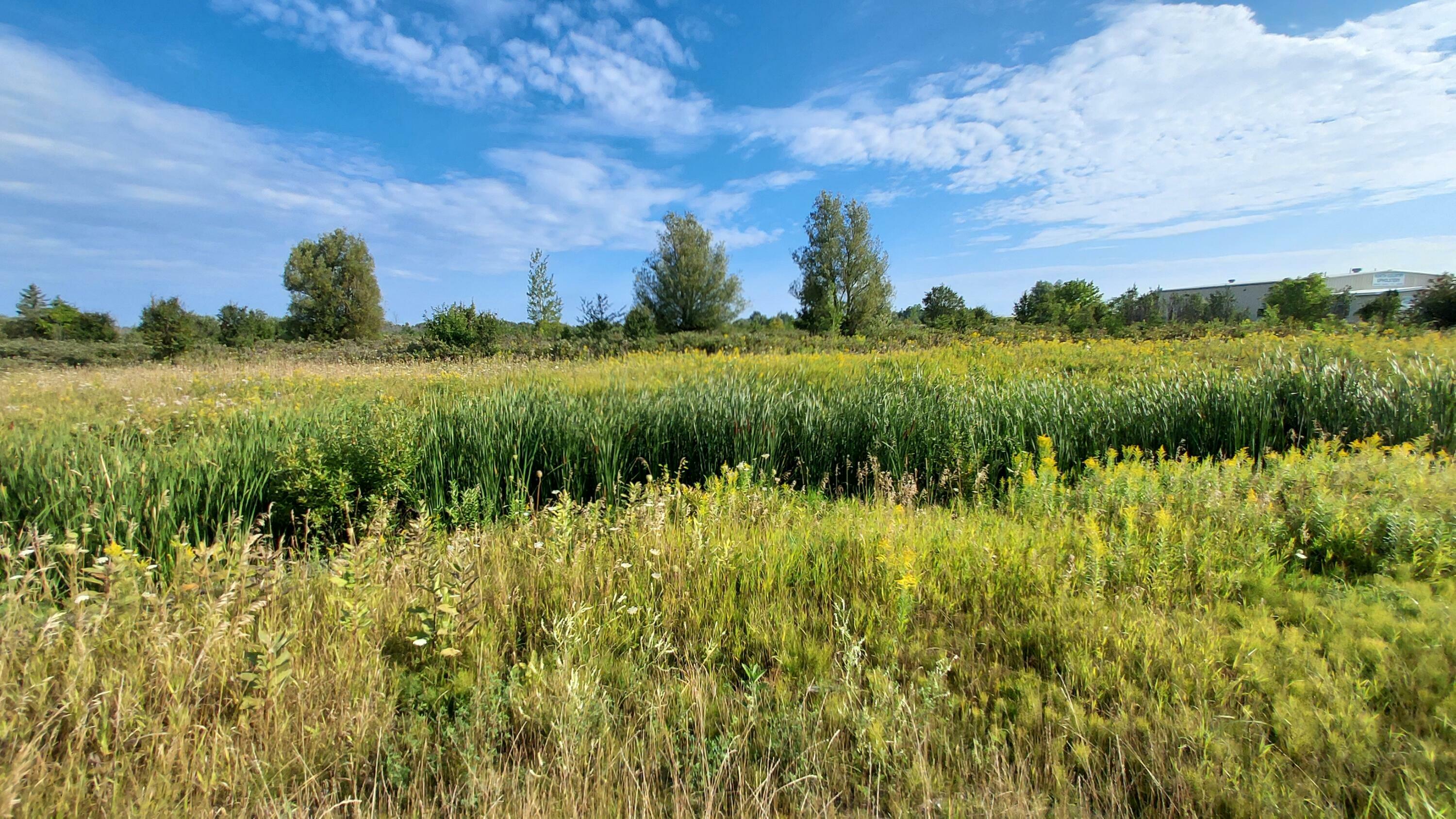 Property Photo:  E State Street  MI 49721 