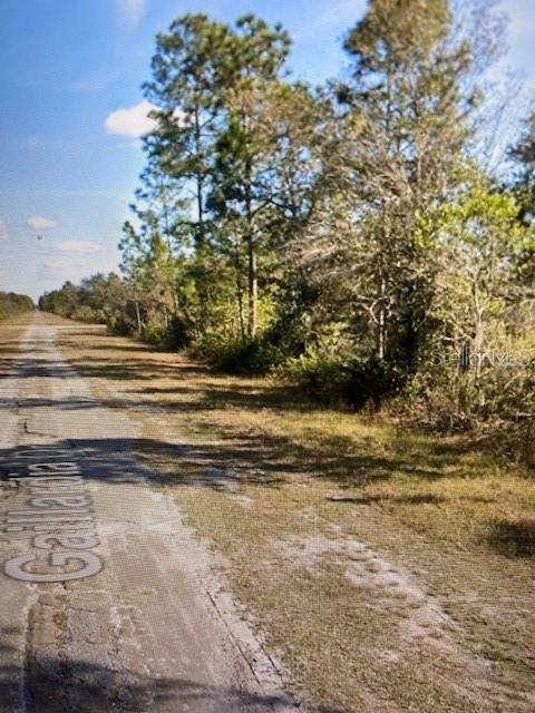 Property Photo: 0 Gaillardia Drive FL 33855