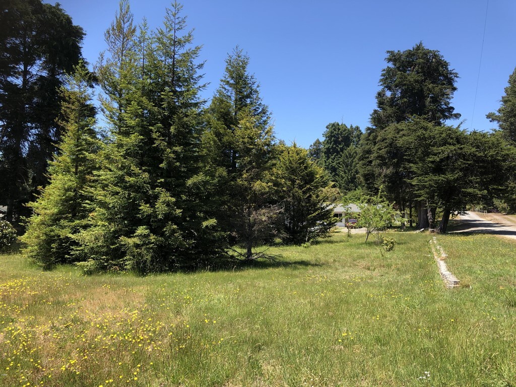 Property Photo: 31500 State Hwy 20 CA 95437