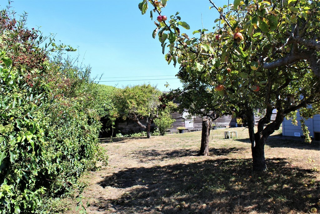 Property Photo:  518 N McPherson Street  CA 95437 