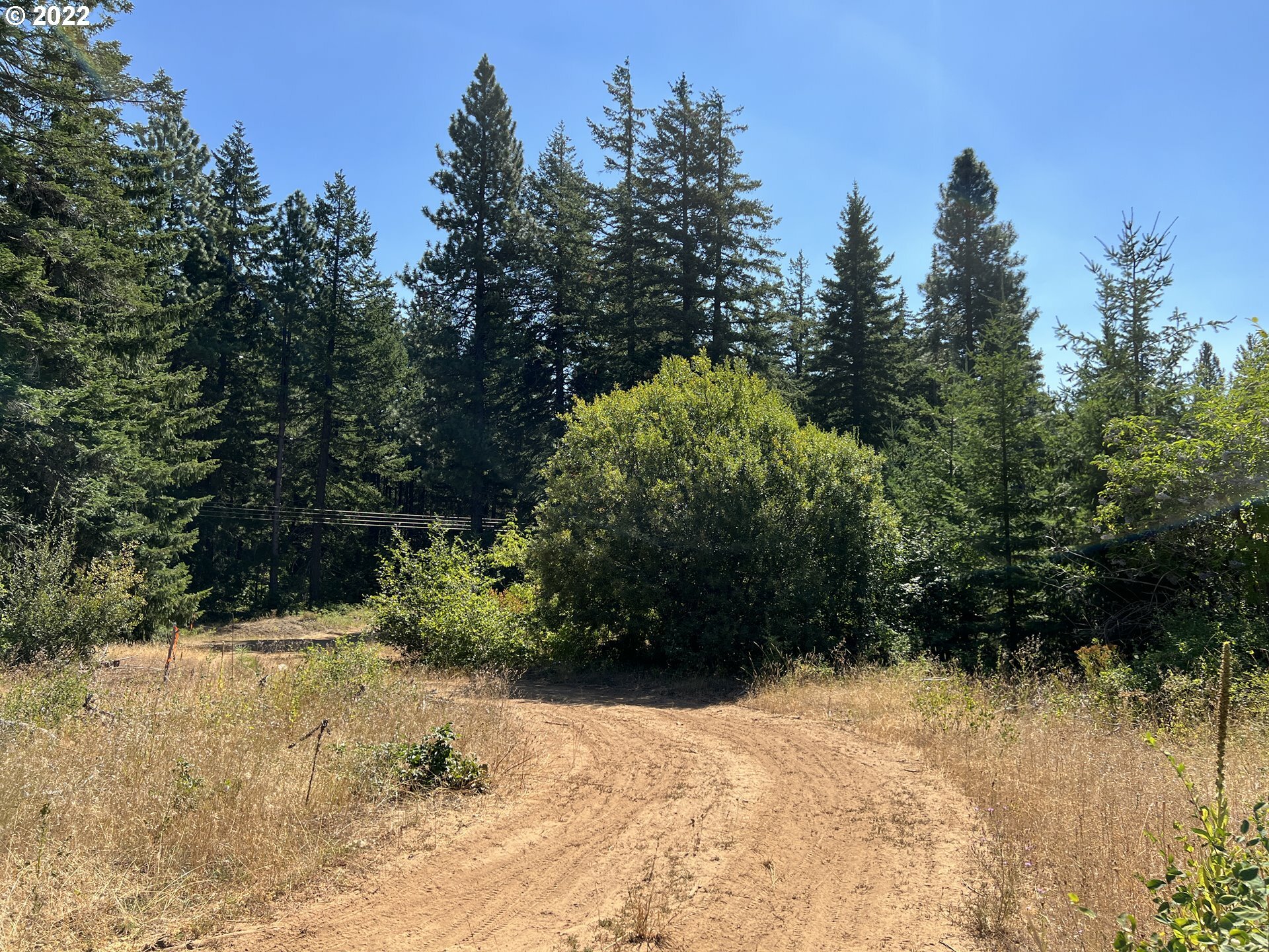 Property Photo:  Canyon Rd  WA 98602 