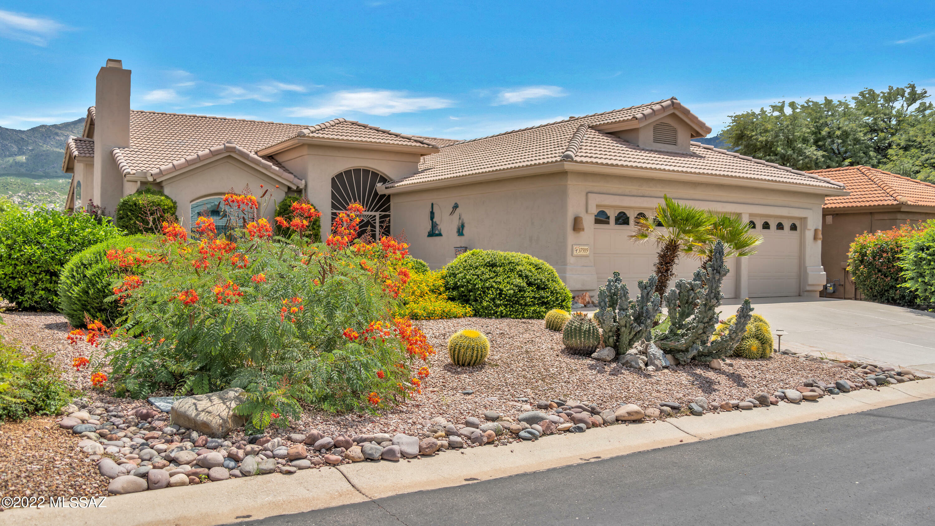 Property Photo:  37919 S Spoon Drive  AZ 85739 