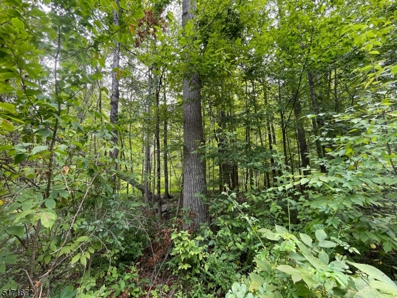 Property Photo: 11 Oak Ridge Rd NJ 07827