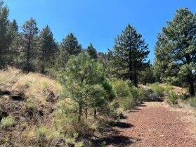 Property Photo:  Lot 51 Peregrine Heights  OR 97601 