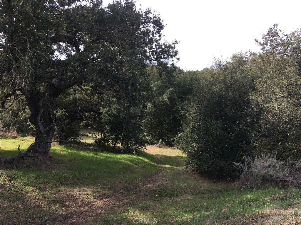 Property Photo:  19879 Tenaja Road  CA 92562 