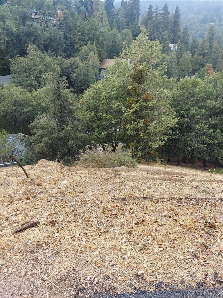 Property Photo:  0 Arbula Drive  CA 92325 