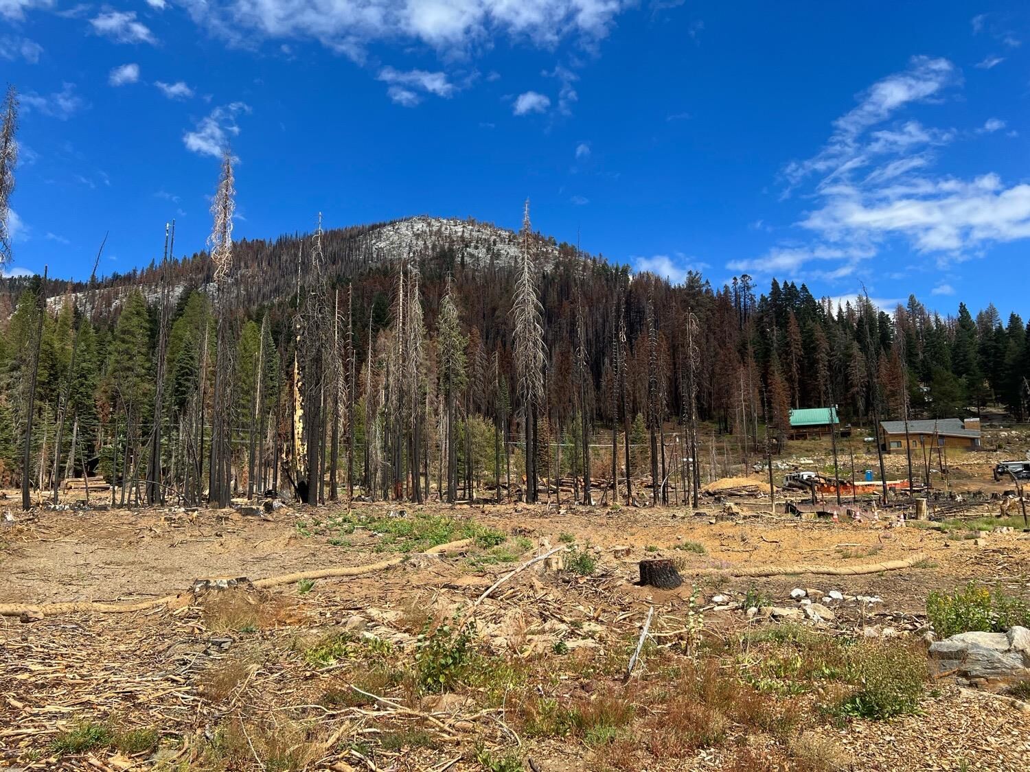 Property Photo:  7141 Mt Ralston Drive  CA 95735 