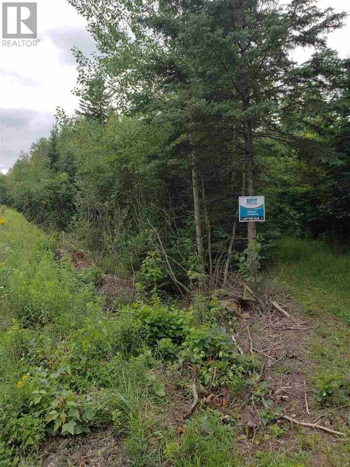 Cole Road — photo 1