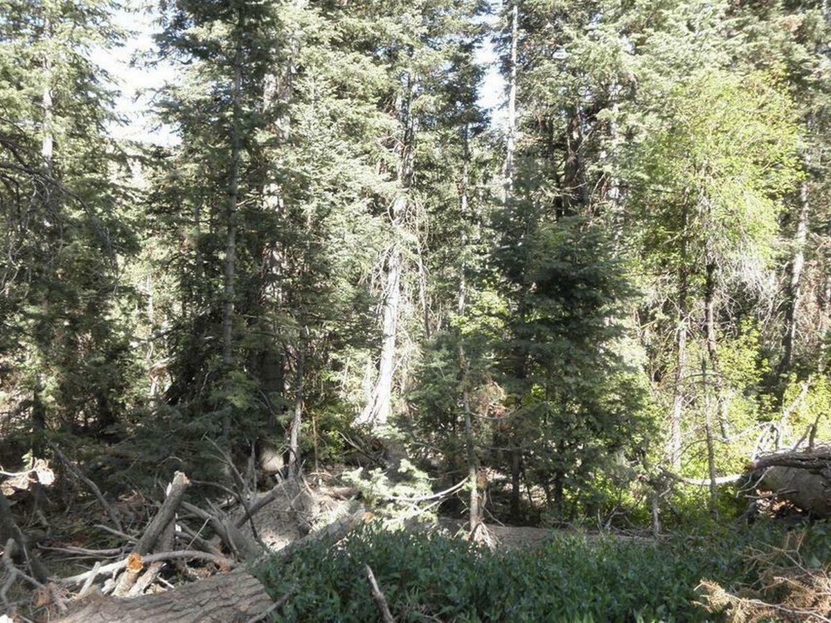 Property Photo:  Lot 9 Sandy Ridge Rd  UT 84762 