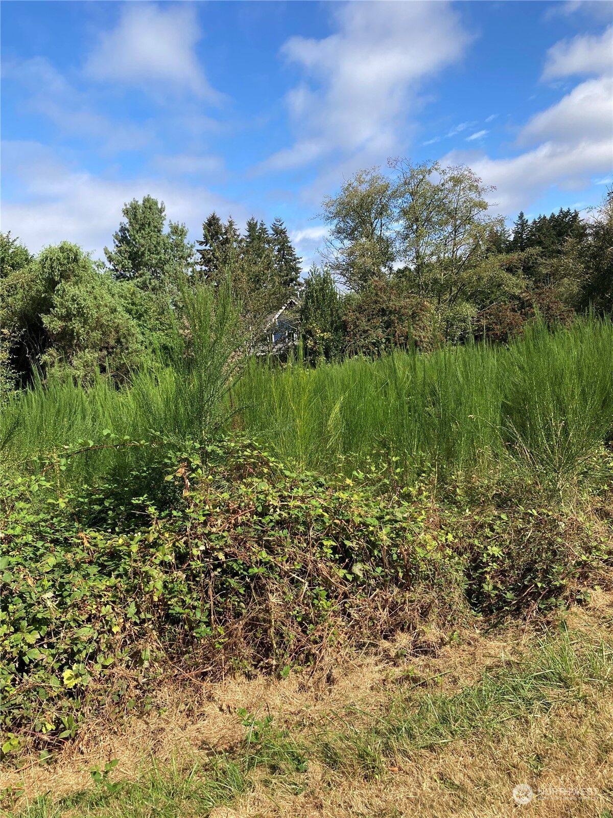 Property Photo: 124 Xx SW 148th Street WA 98070