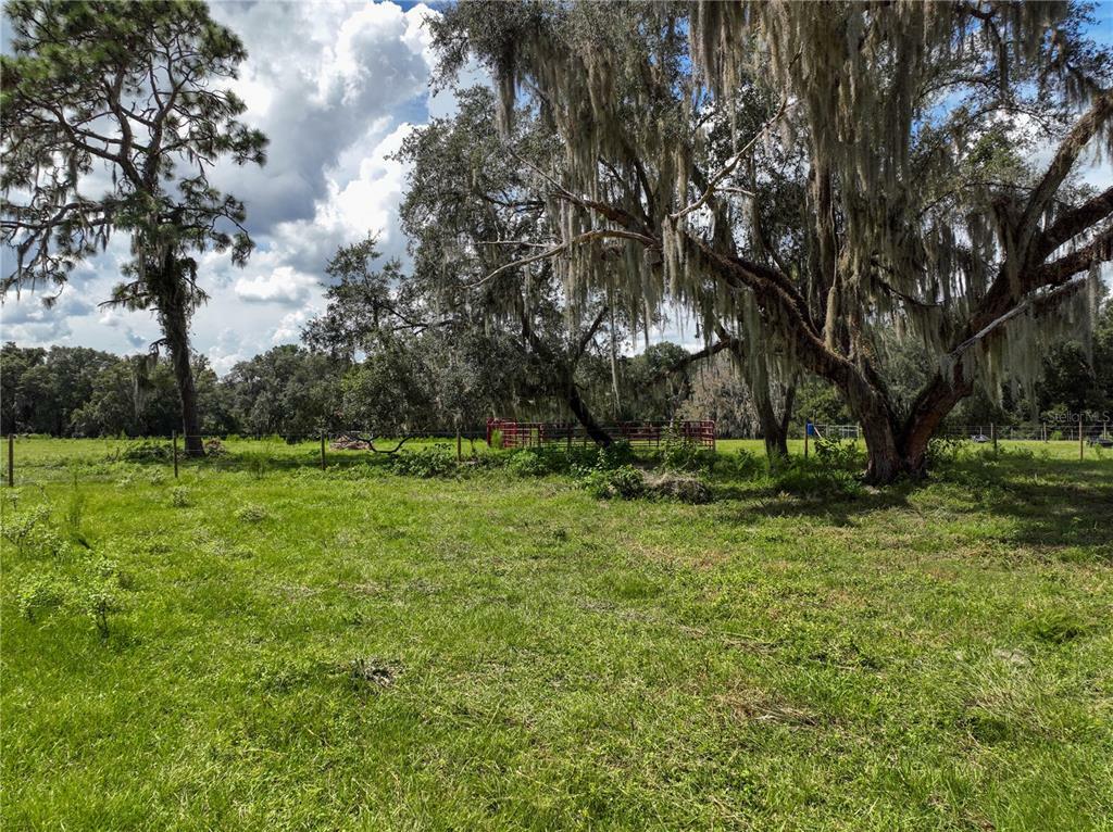 136 Depot Road  Hawthorne FL 32640 photo