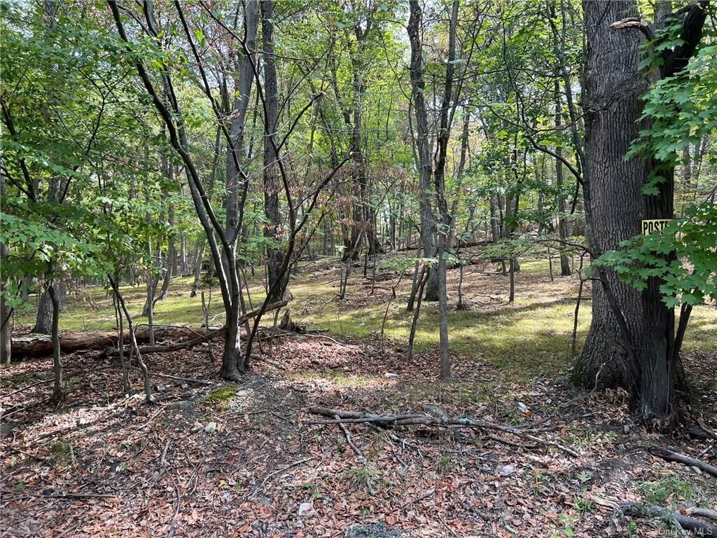 Property Photo:  11 Rheajack Drive  NY 10980 