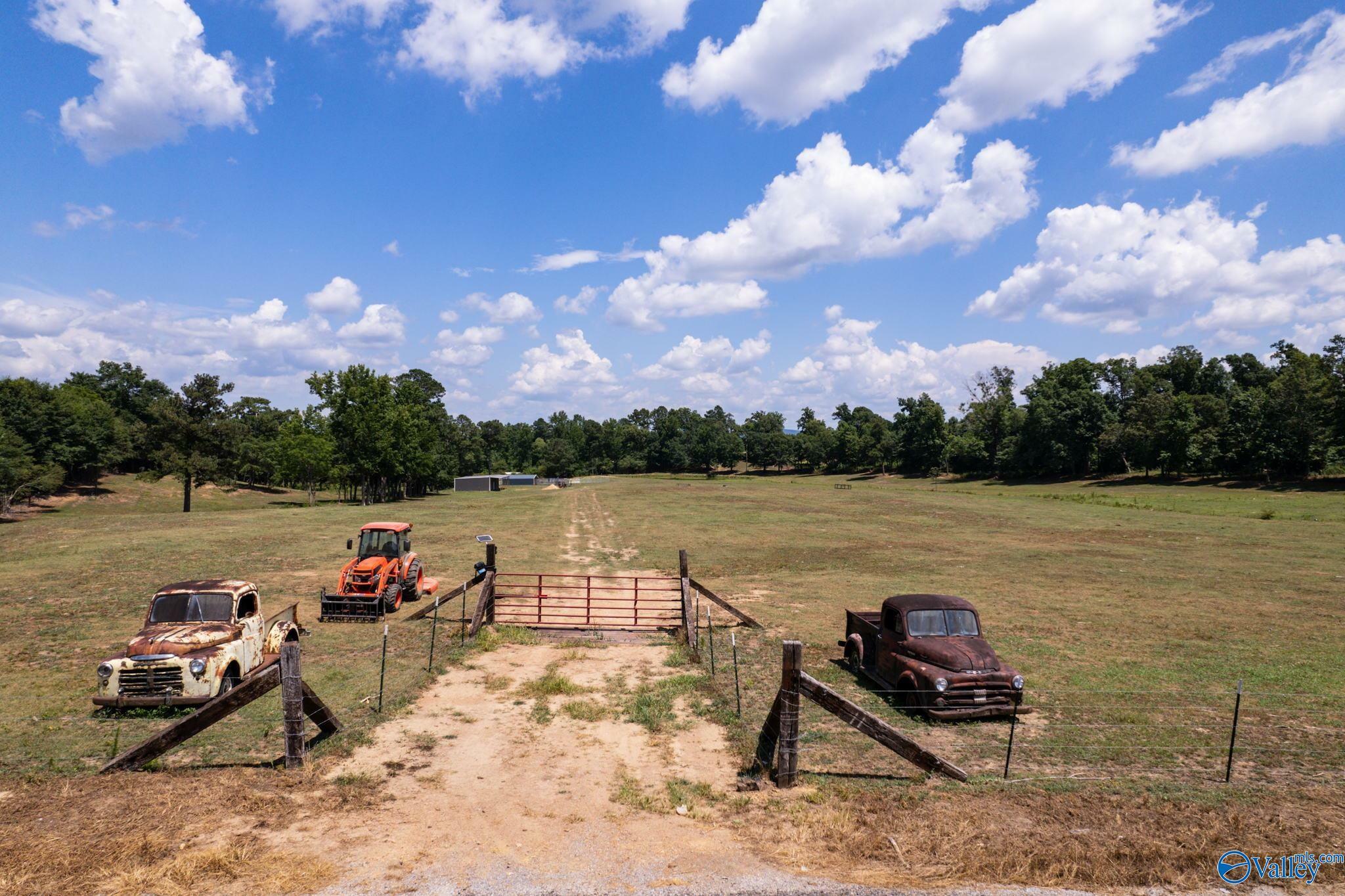 Property Photo: 0 County Road 569 AL 35077