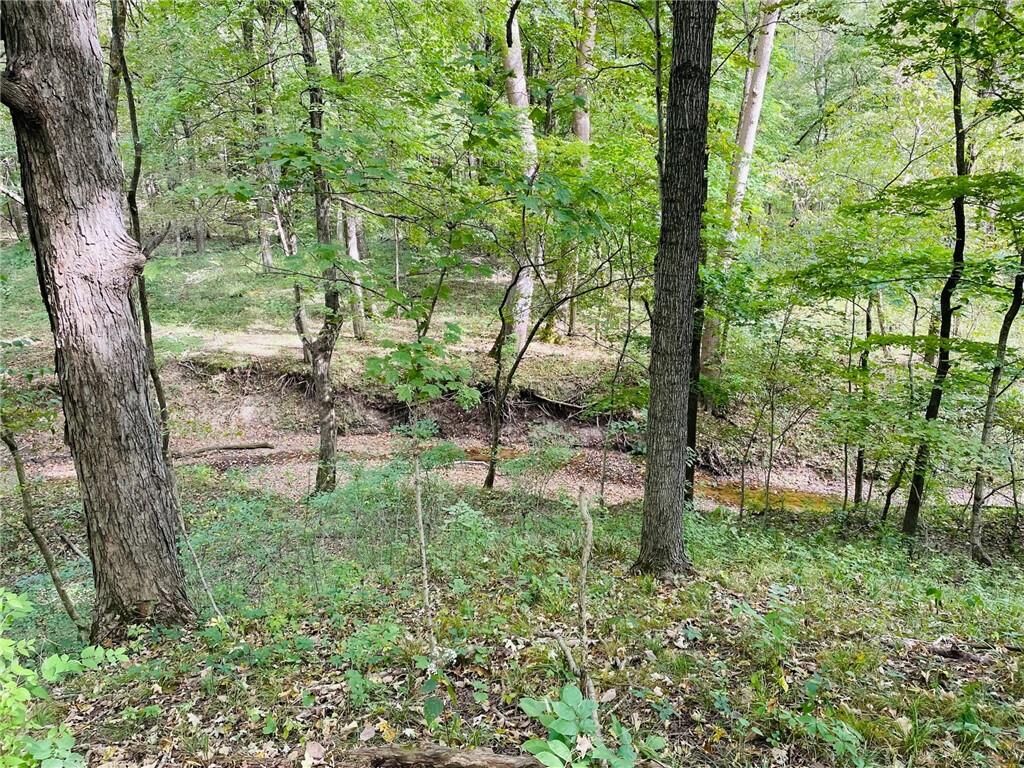 Property Photo:  Lot 3  IL 62458 