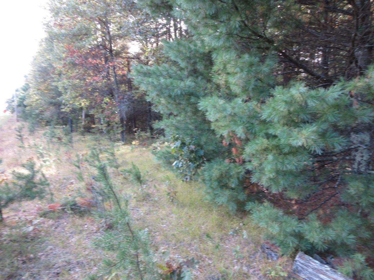 Property Photo:  Lot 1 19th Ave  WI 54646 