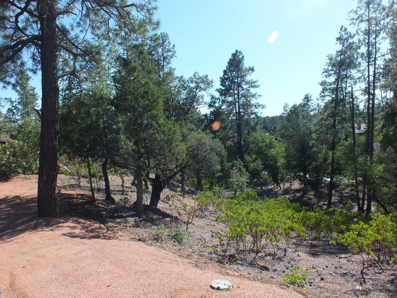 Property Photo:  2418 E Scarlet Bugler Circle  AZ 85541 