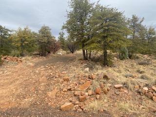 Lot 16 Hoot Owl  Payson AZ 85541 photo