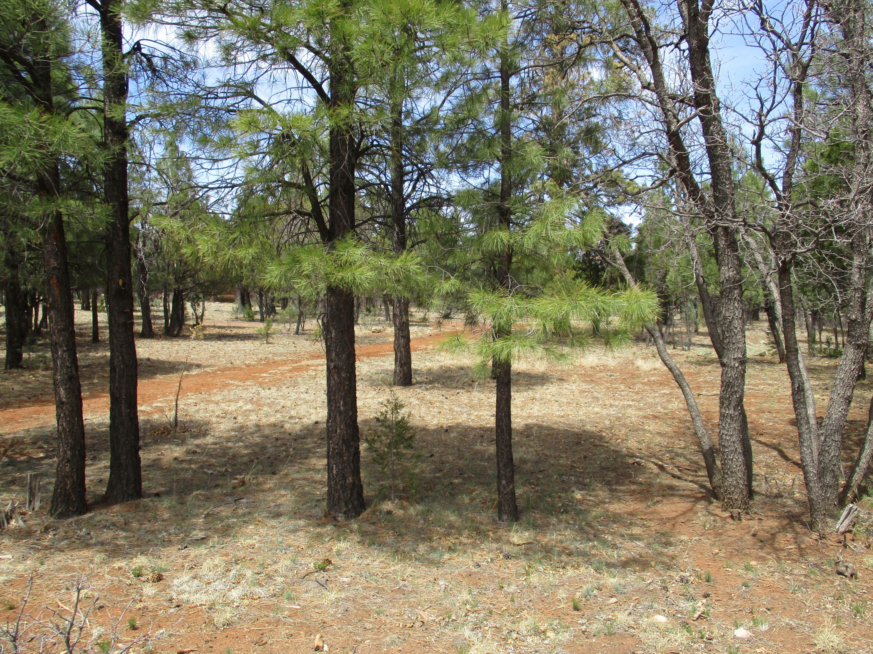 Property Photo:  5831 Cripple Creek  AZ 86024 