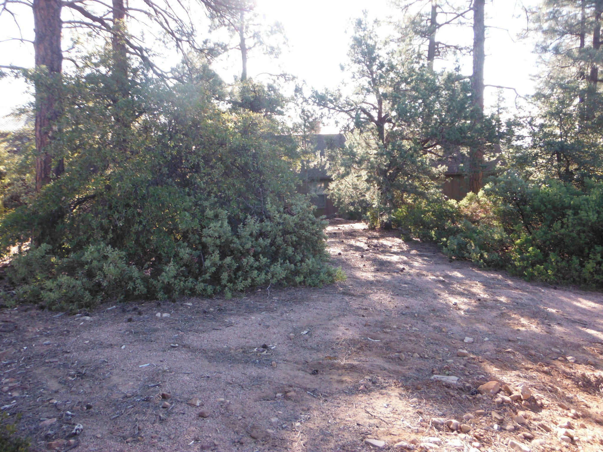 Property Photo:  Lot 142 Ruin Hill Loop  AZ 85544 