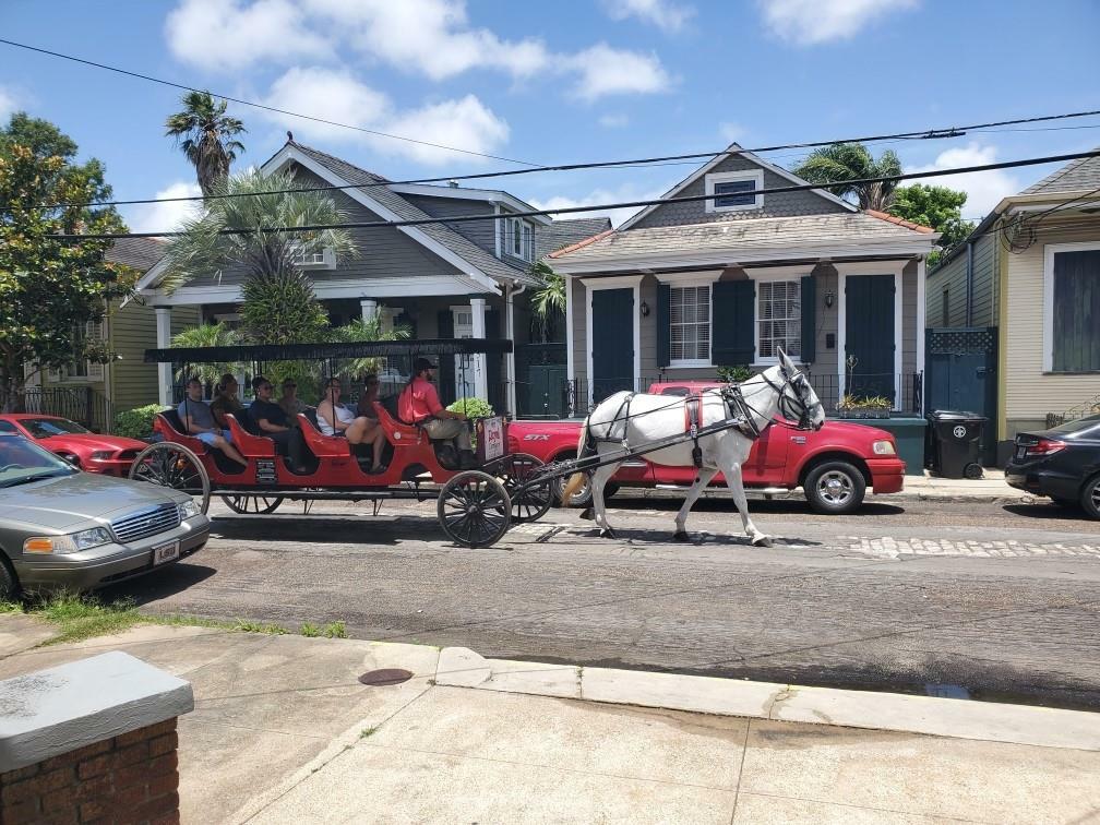 Property Photo:  2515-17 Chartres Street  LA 70117 