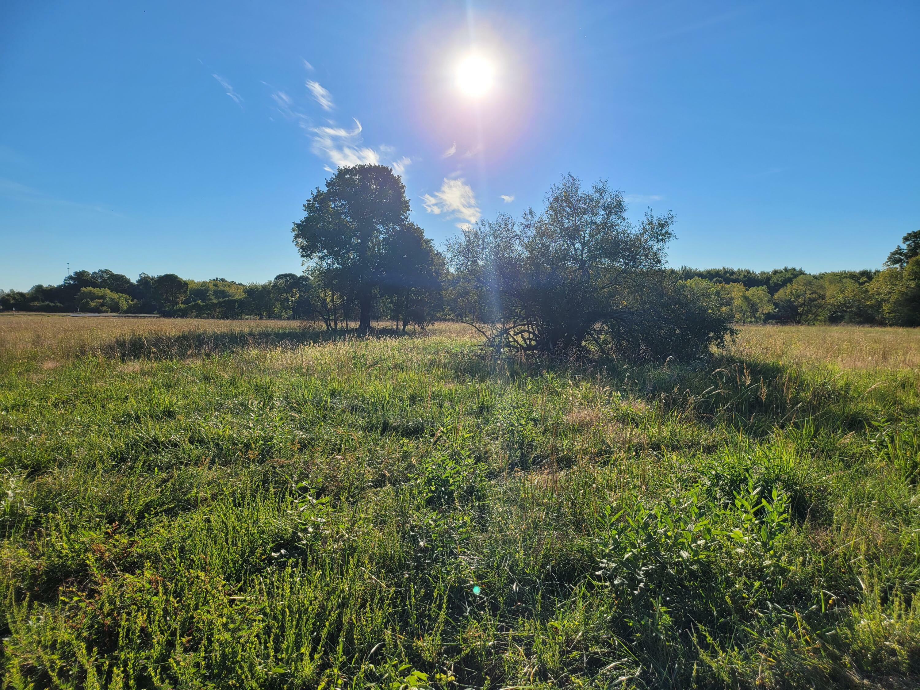 Property Photo: Tract 1 Highway 60 MO 65610
