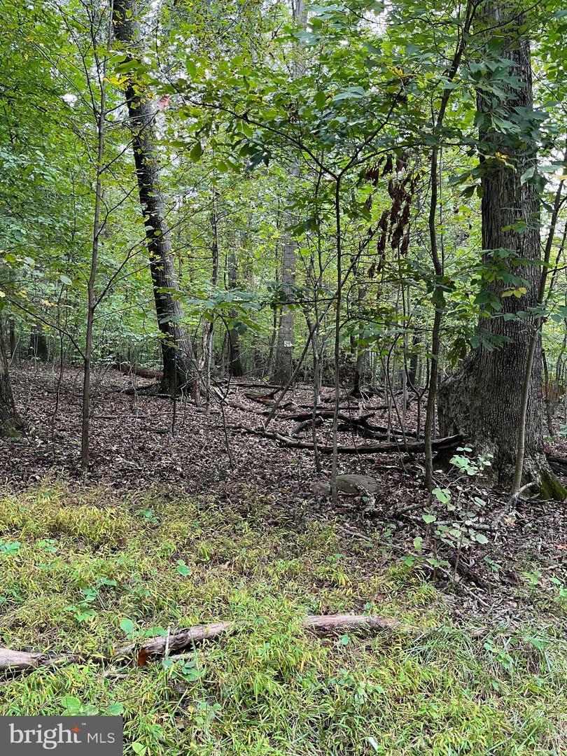 Property Photo: Lot 24 Stellar Way WV 25422