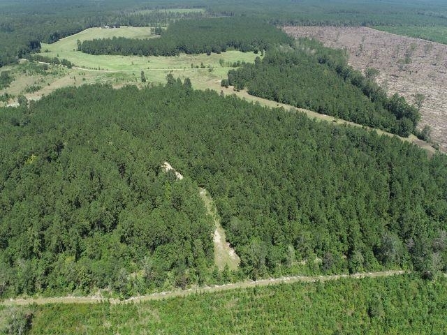 Property Photo: 000 Bob Williams TX 77374