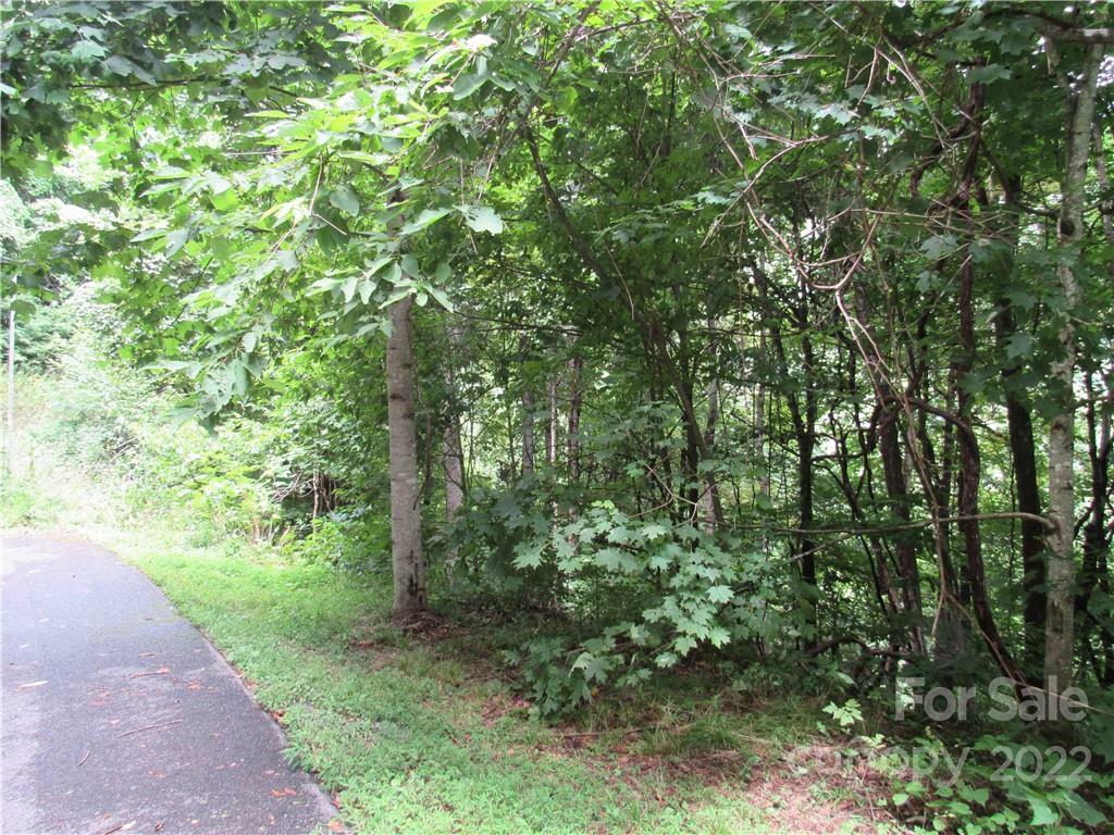 Property Photo:  Lot 23 Village Lane 23  NC 28786 