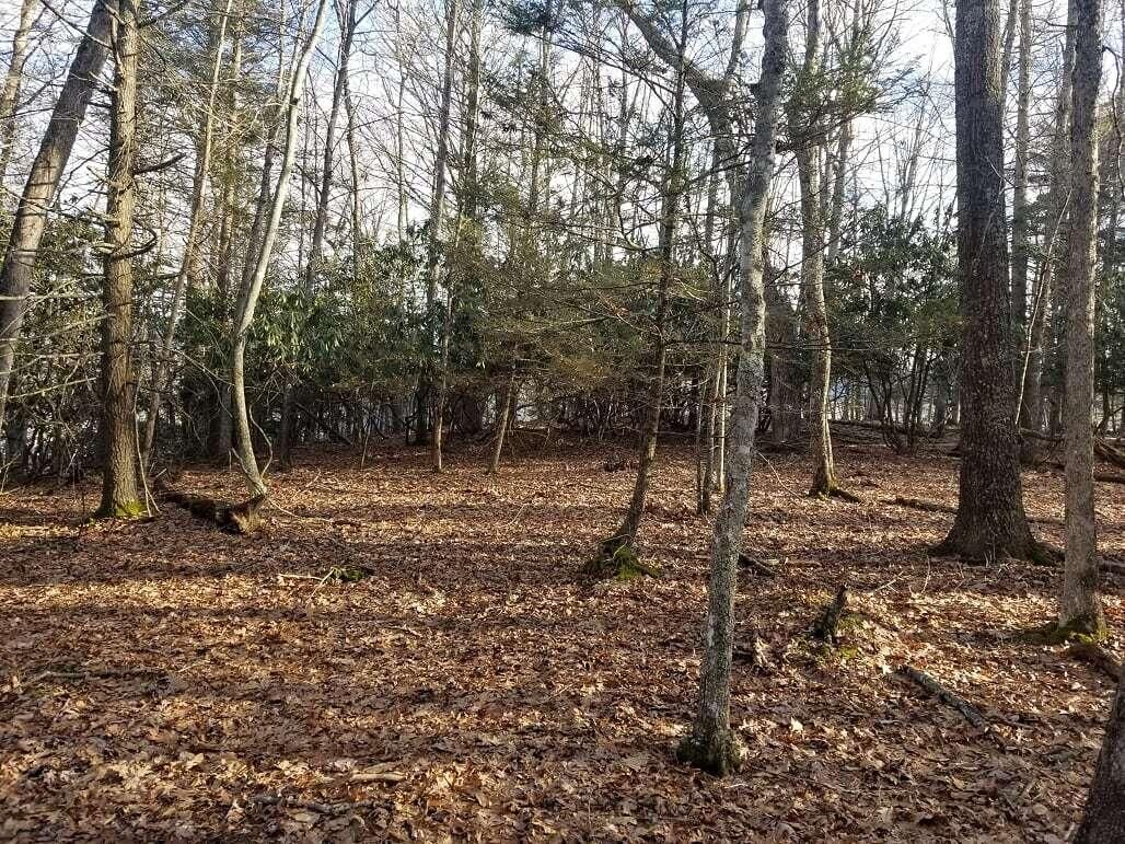 Property Photo:  7 Woods Price Place  WV 24954 