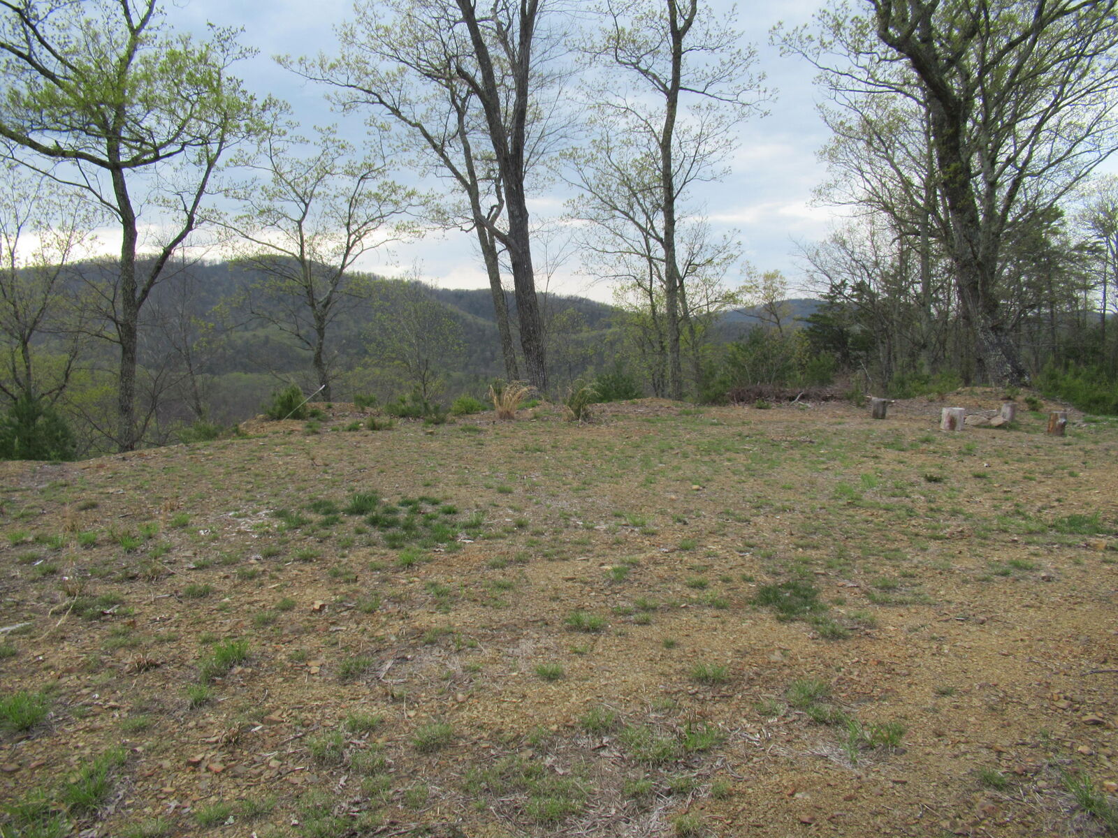 Property Photo: Harts Run Road WV 24925