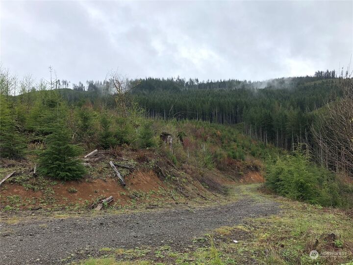 Property Photo:  0  Keyser Road  WA 98612 