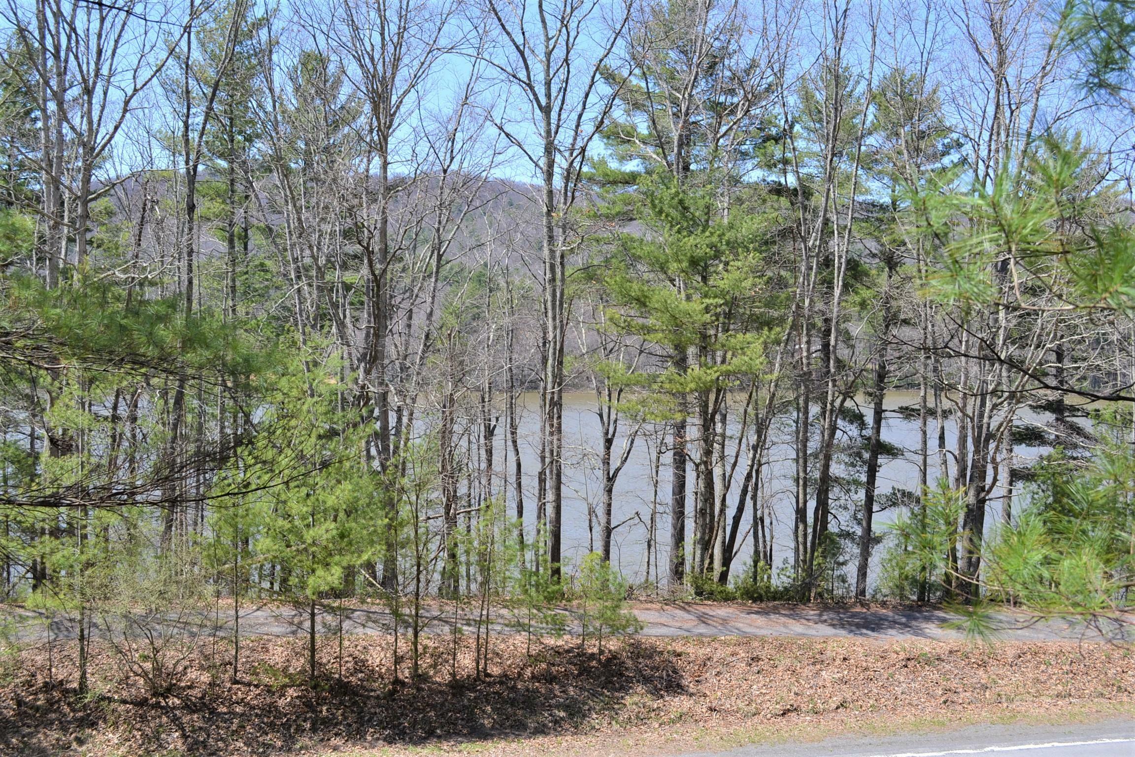 Property Photo:  5660B Moncove Lake Rd  WV 24941 