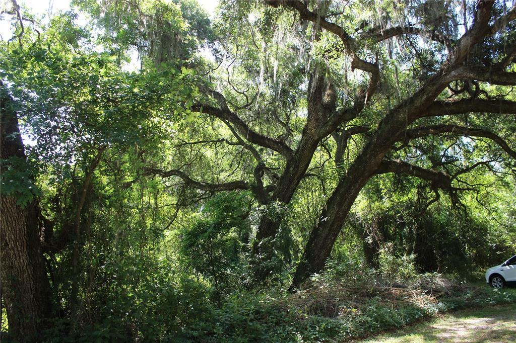 Property Photo: 6306 SW 137th Avenue FL 32618