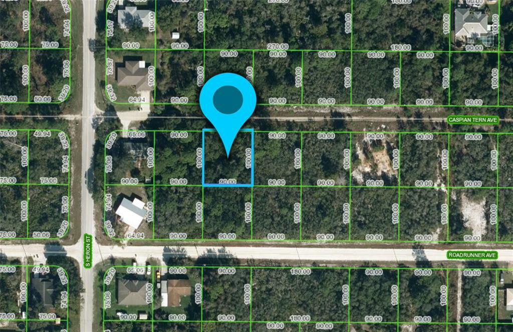 Property Photo:  250 Caspian Tern Avenue  FL 33870 