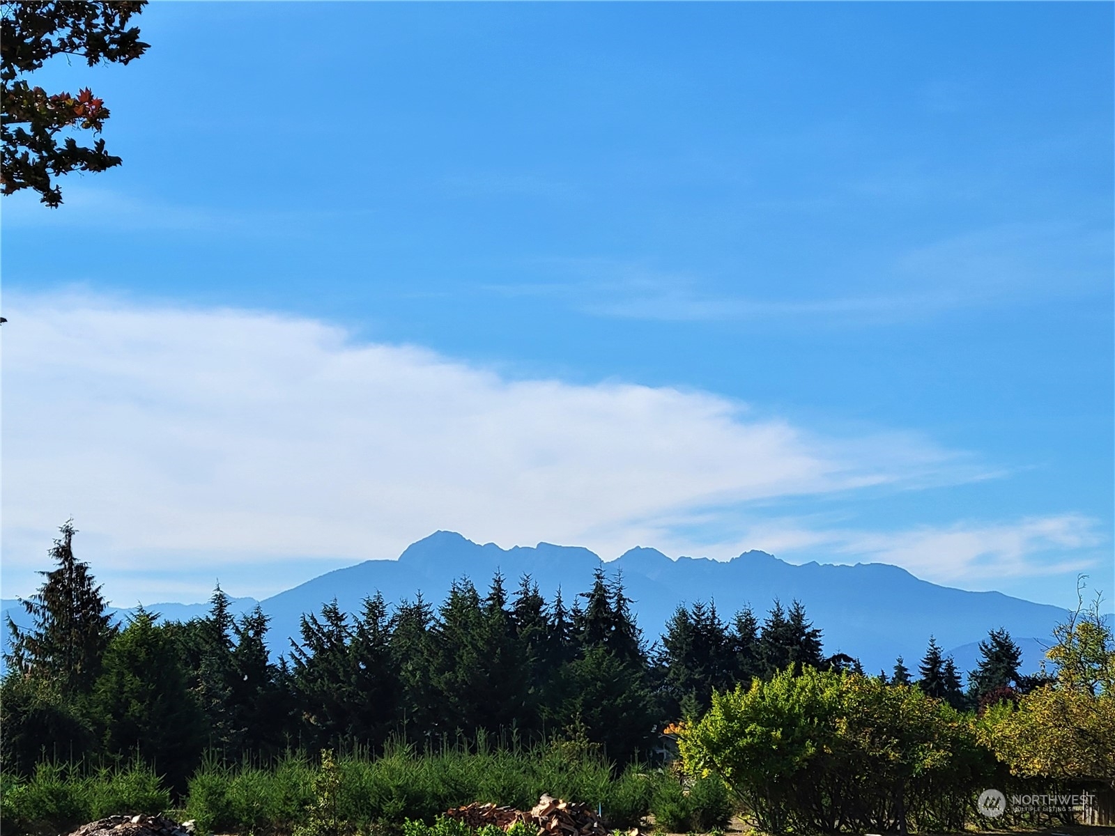 Property Photo: 271 Grandview Drive WA 98382