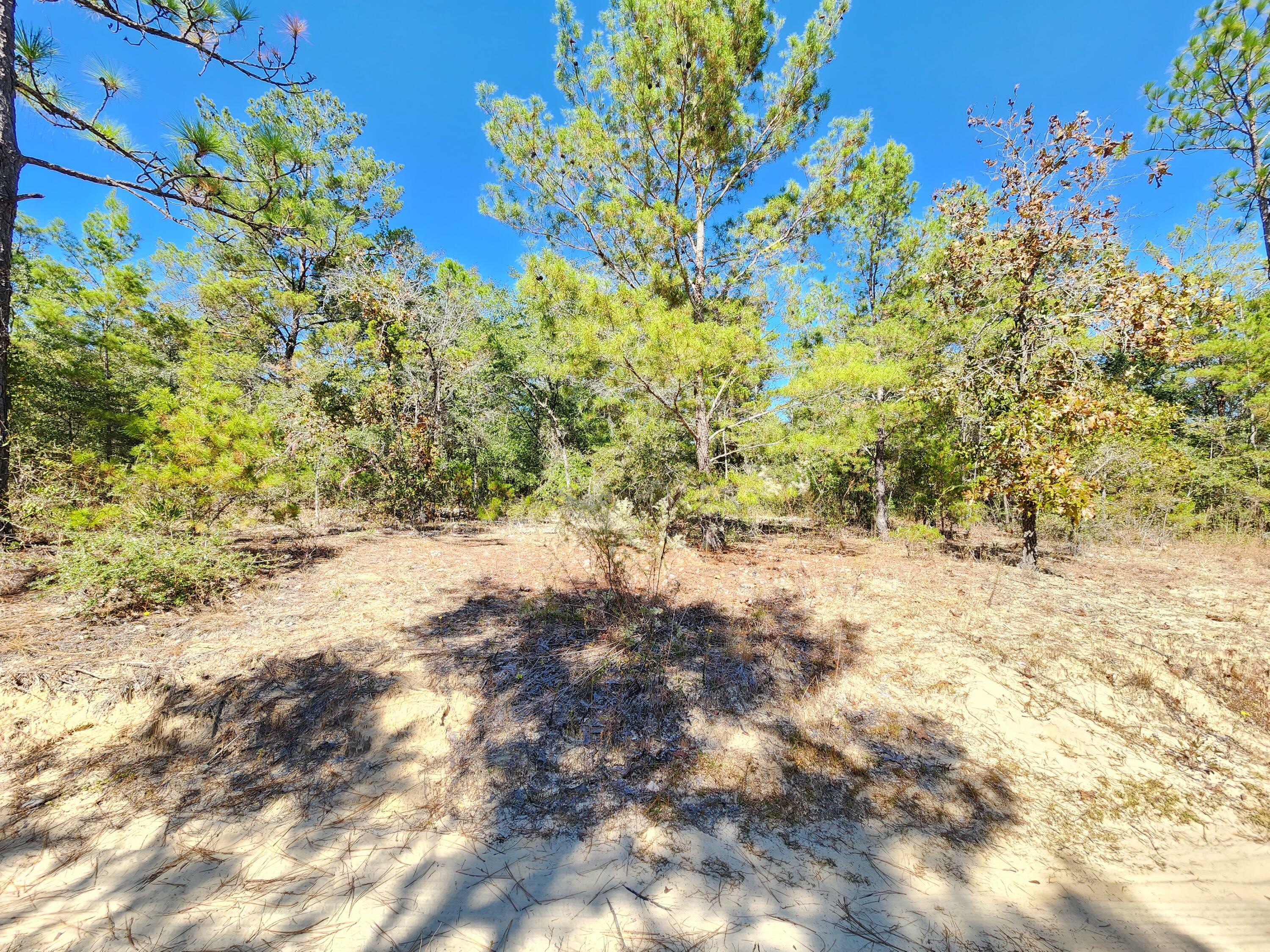 Property Photo:  Lot 9 E Big Cypress Drive Blk 39 Oakwood Hills  FL 32433 