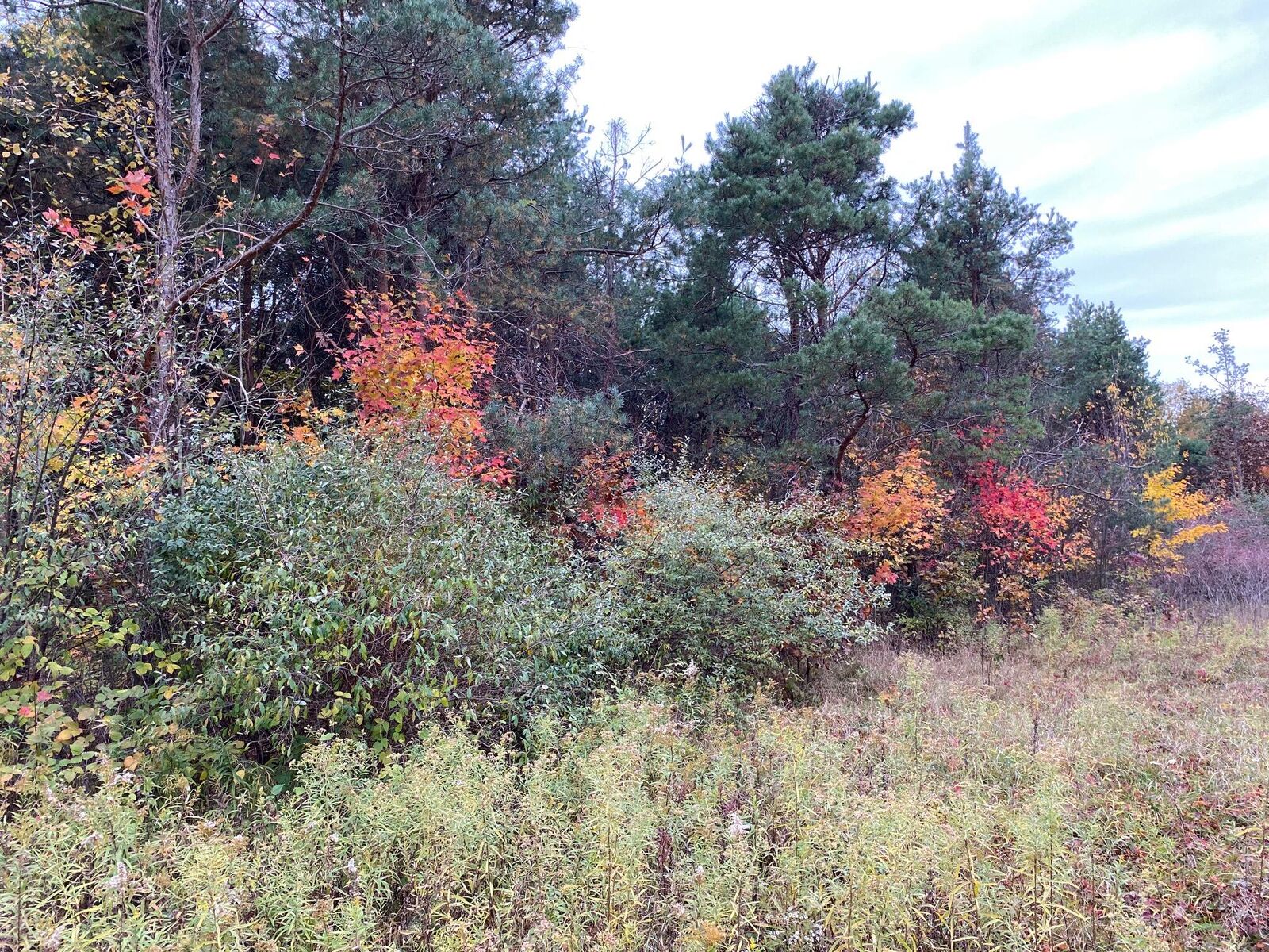 Property Photo:  A 102nd Avenue  MI 49056 