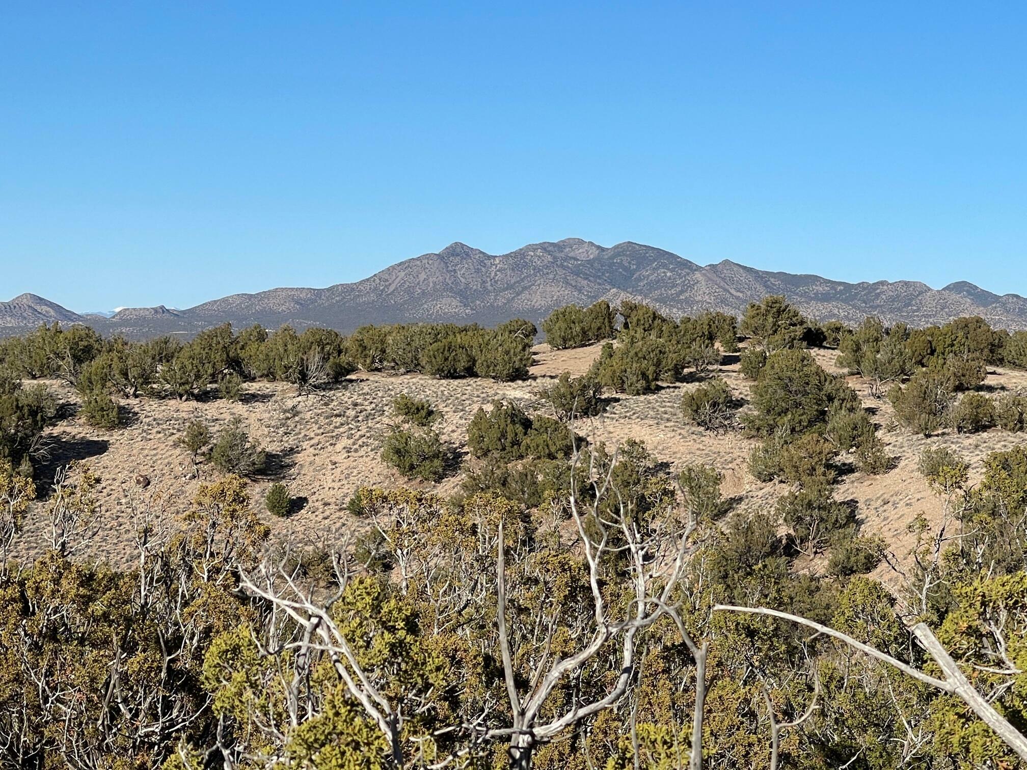 4 Turquoise Court  Sandia Park NM 87047 photo